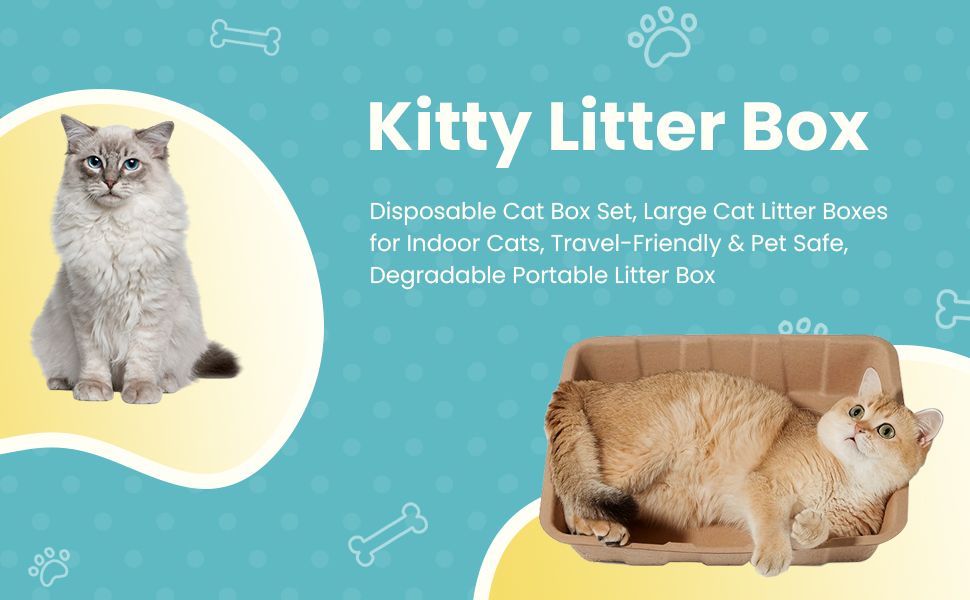 kitty litter