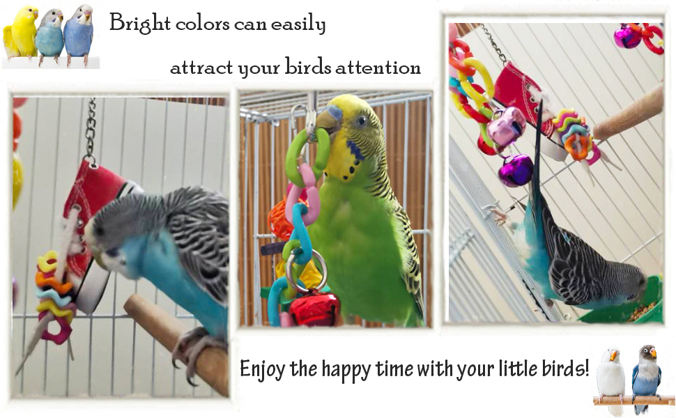 Chewing Toy for Parrots
