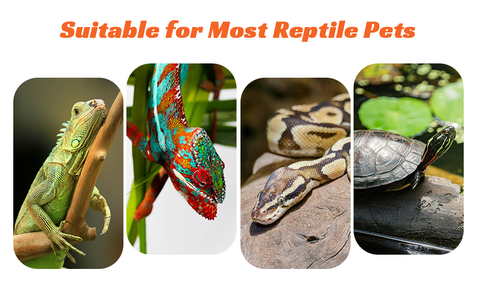 reptile heat lamp bulbs reptile heat bulb basking light for bearded dragon reptile heat light