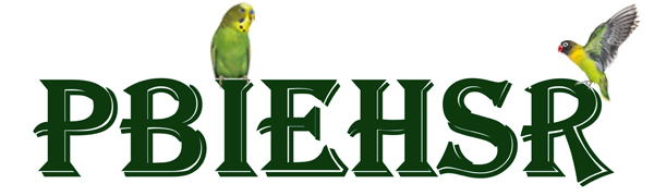 PBIEHSR Bird Parrot Toys